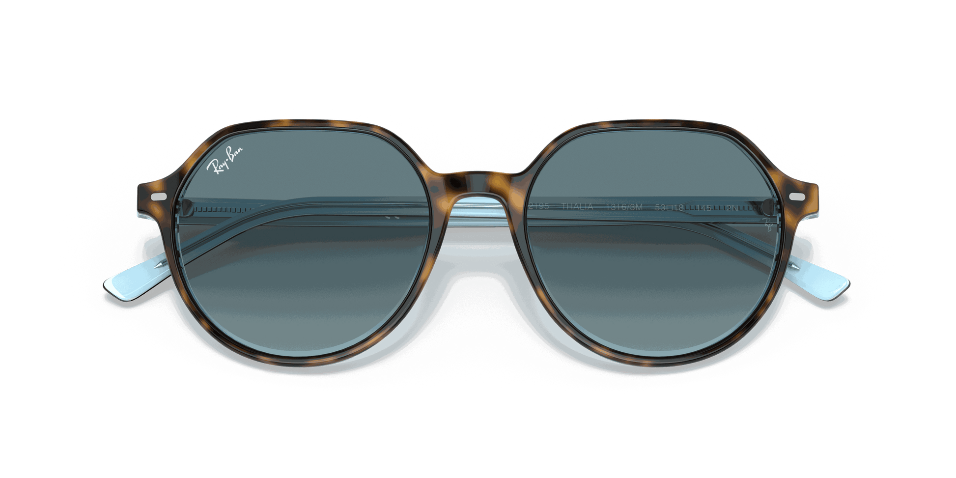 [Blue Gradient Grey Lenses, Polished Havana On Light Blue Frame]