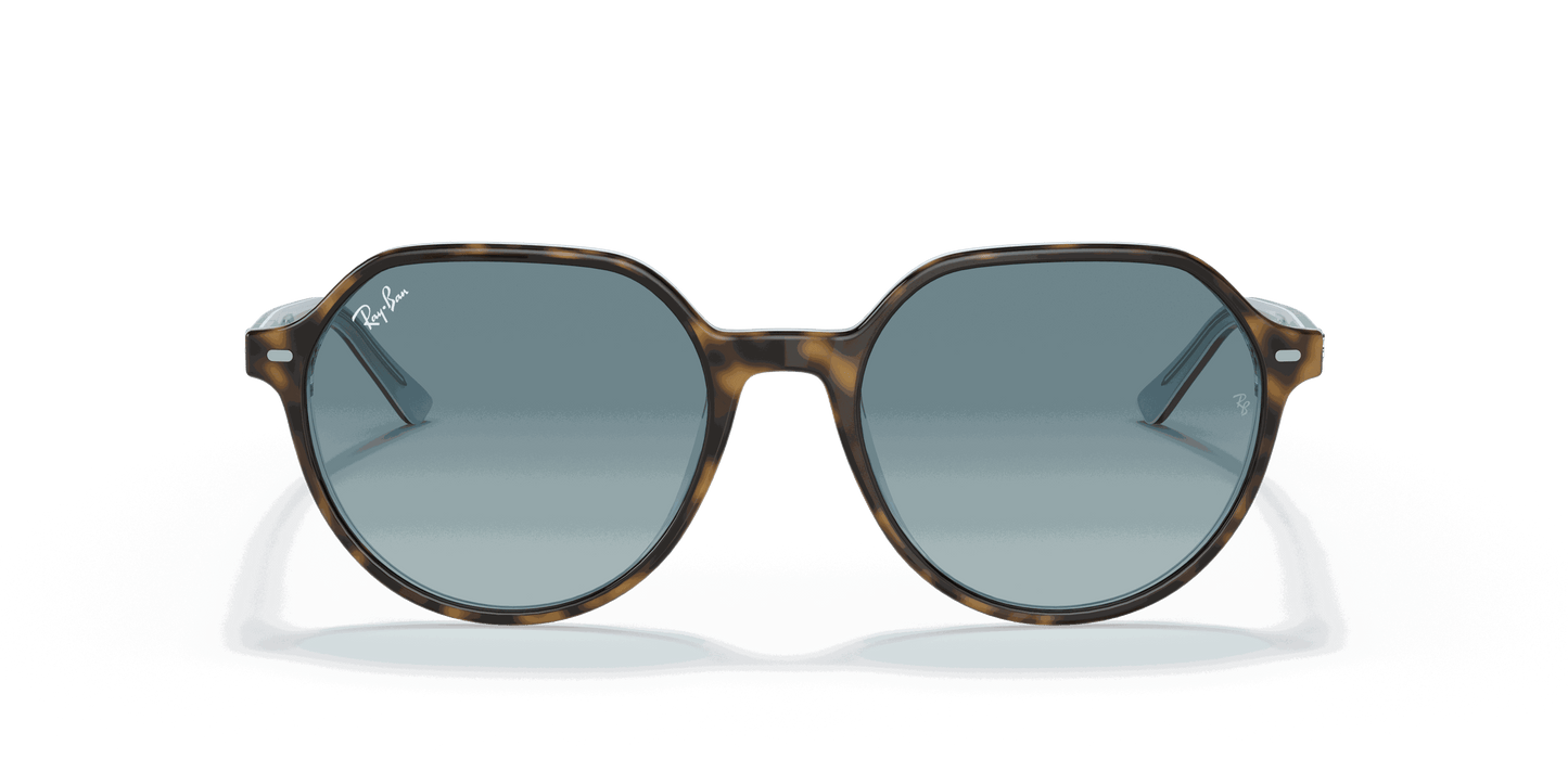 [Blue Gradient Grey Lenses, Polished Havana On Light Blue Frame]