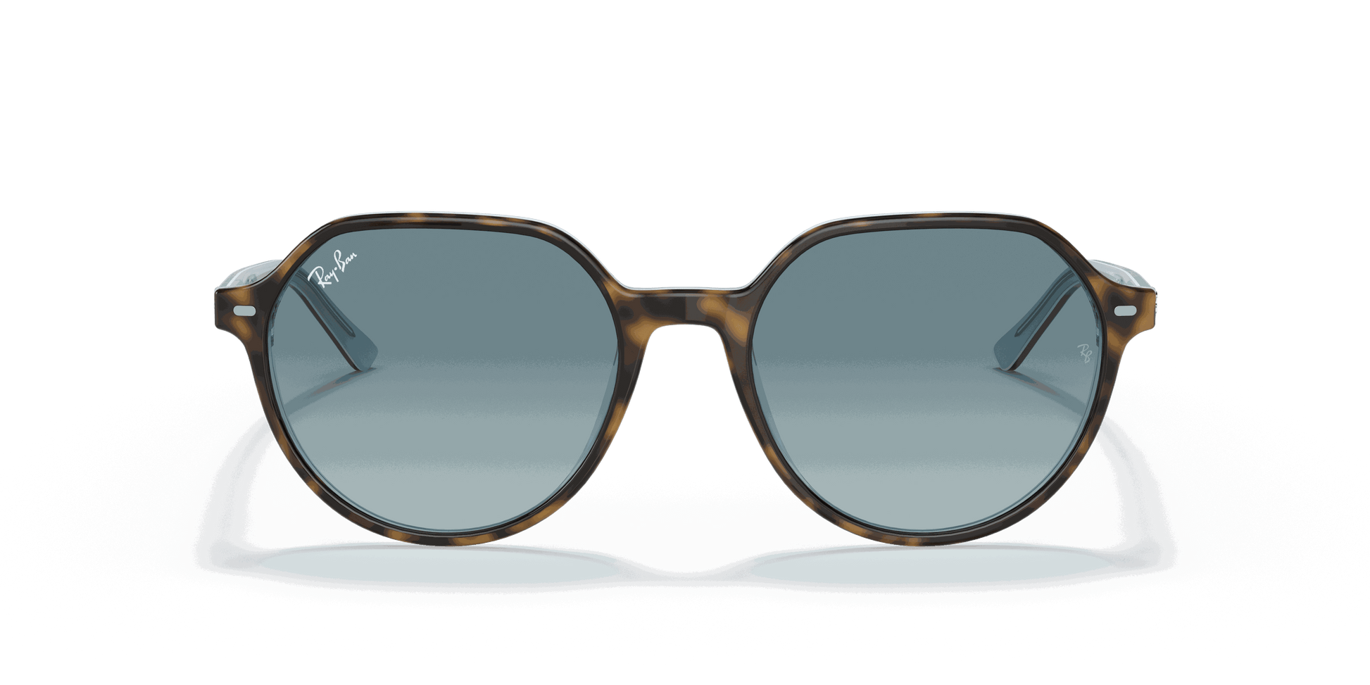 [Blue Gradient Grey Lenses, Polished Havana On Light Blue Frame]