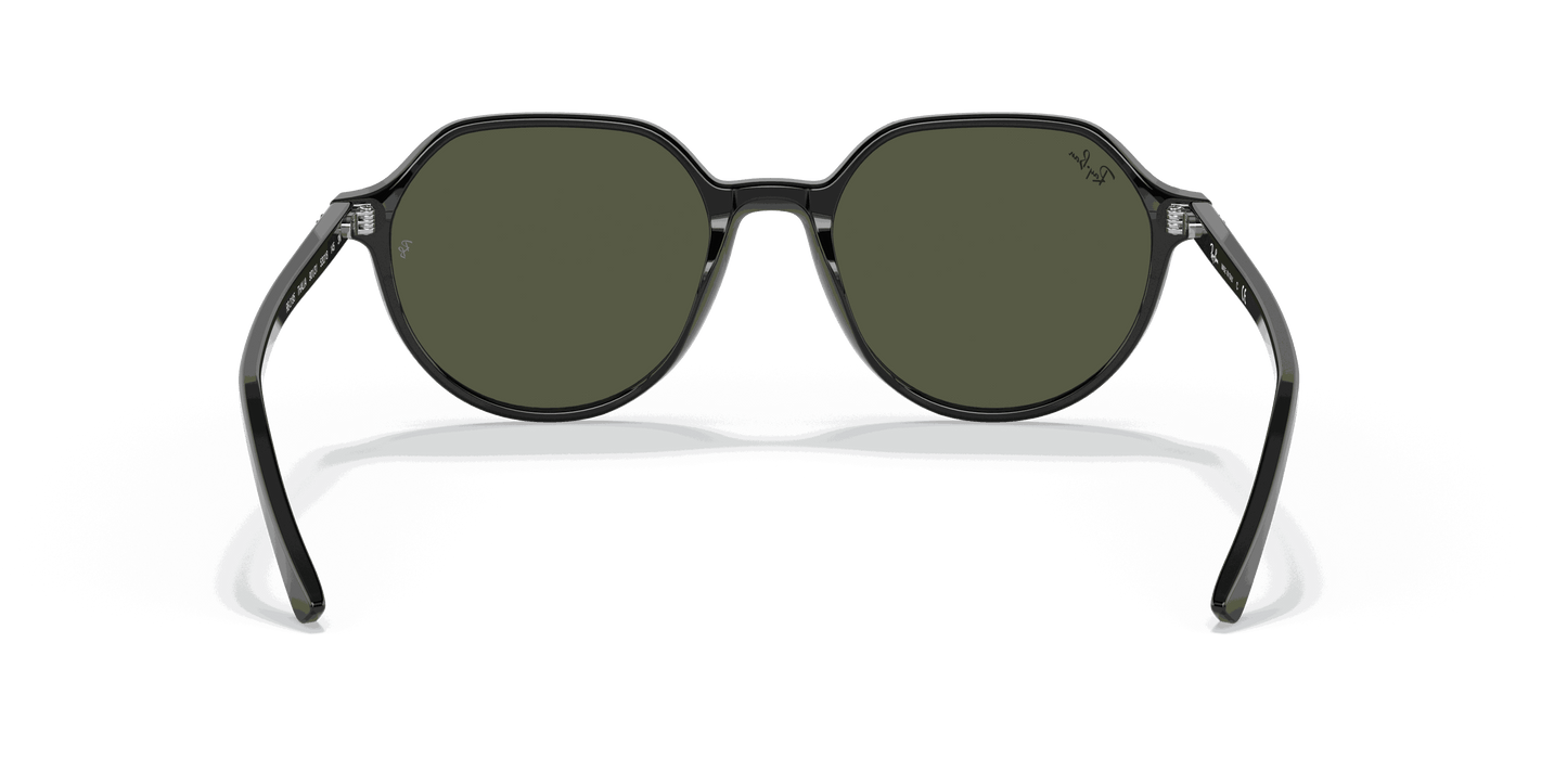 [Green Lenses, Polished Black Frame]