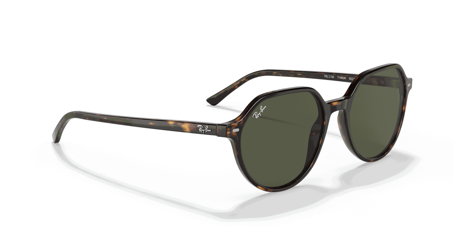 [Green Lenses, Polished Havana Frame]