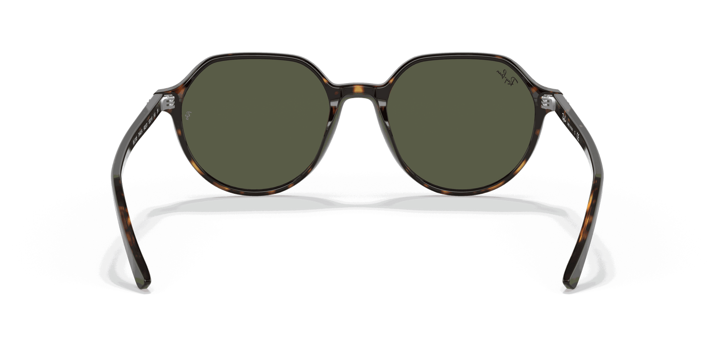 [Green Lenses, Polished Havana Frame]