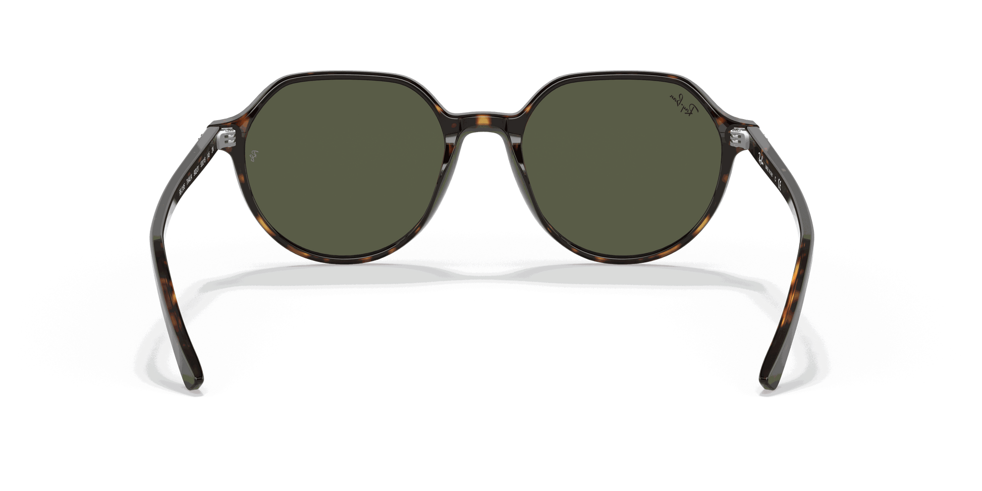[Green Lenses, Polished Havana Frame]