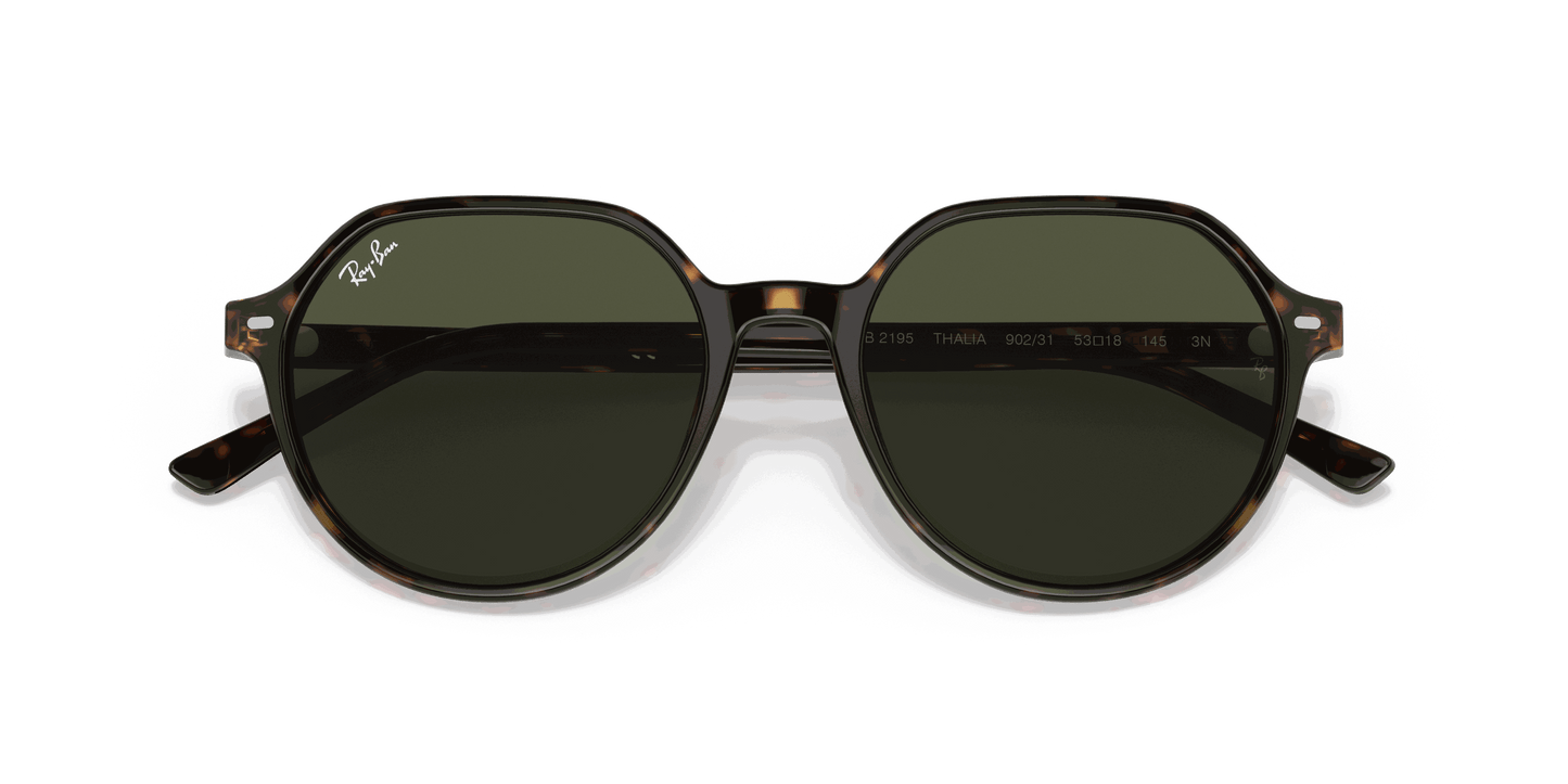 [Green Lenses, Polished Havana Frame]