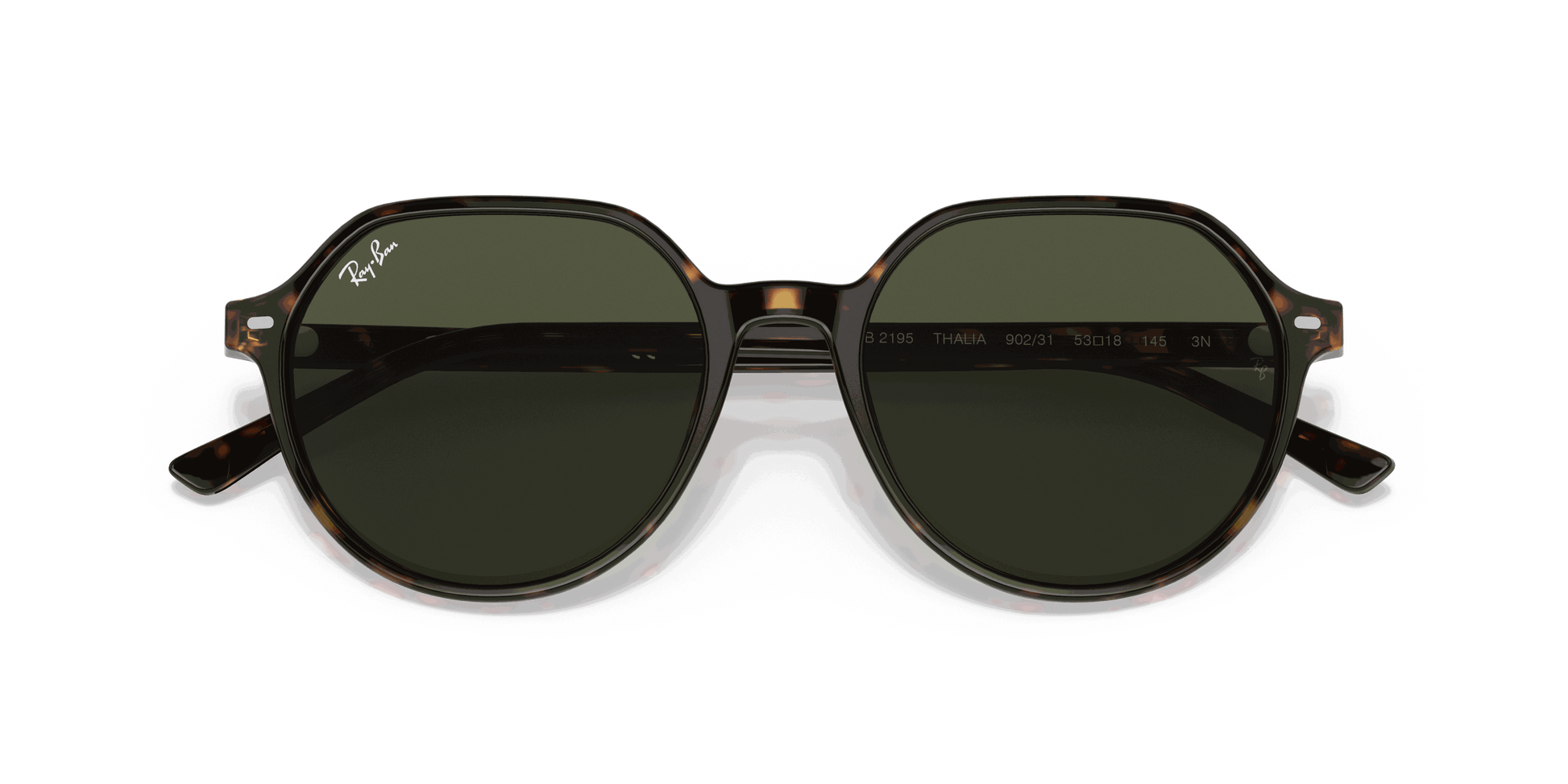 [Green Lenses, Polished Havana Frame]