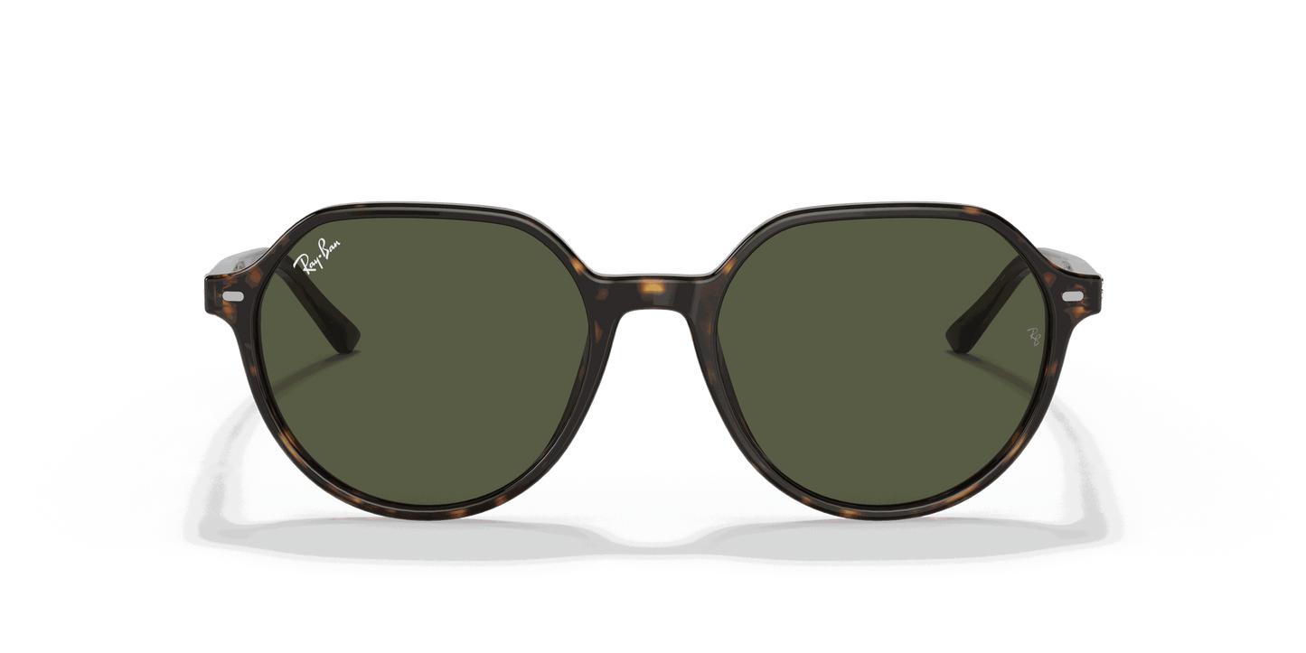 [Green Lenses, Polished Havana Frame]
