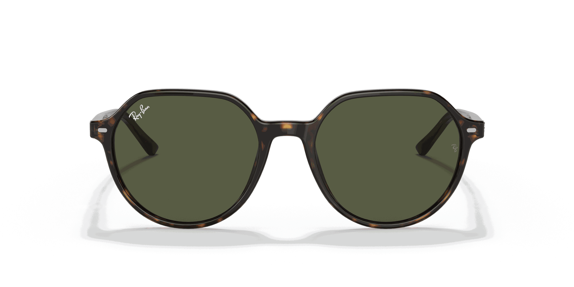 [Green Lenses, Polished Havana Frame]