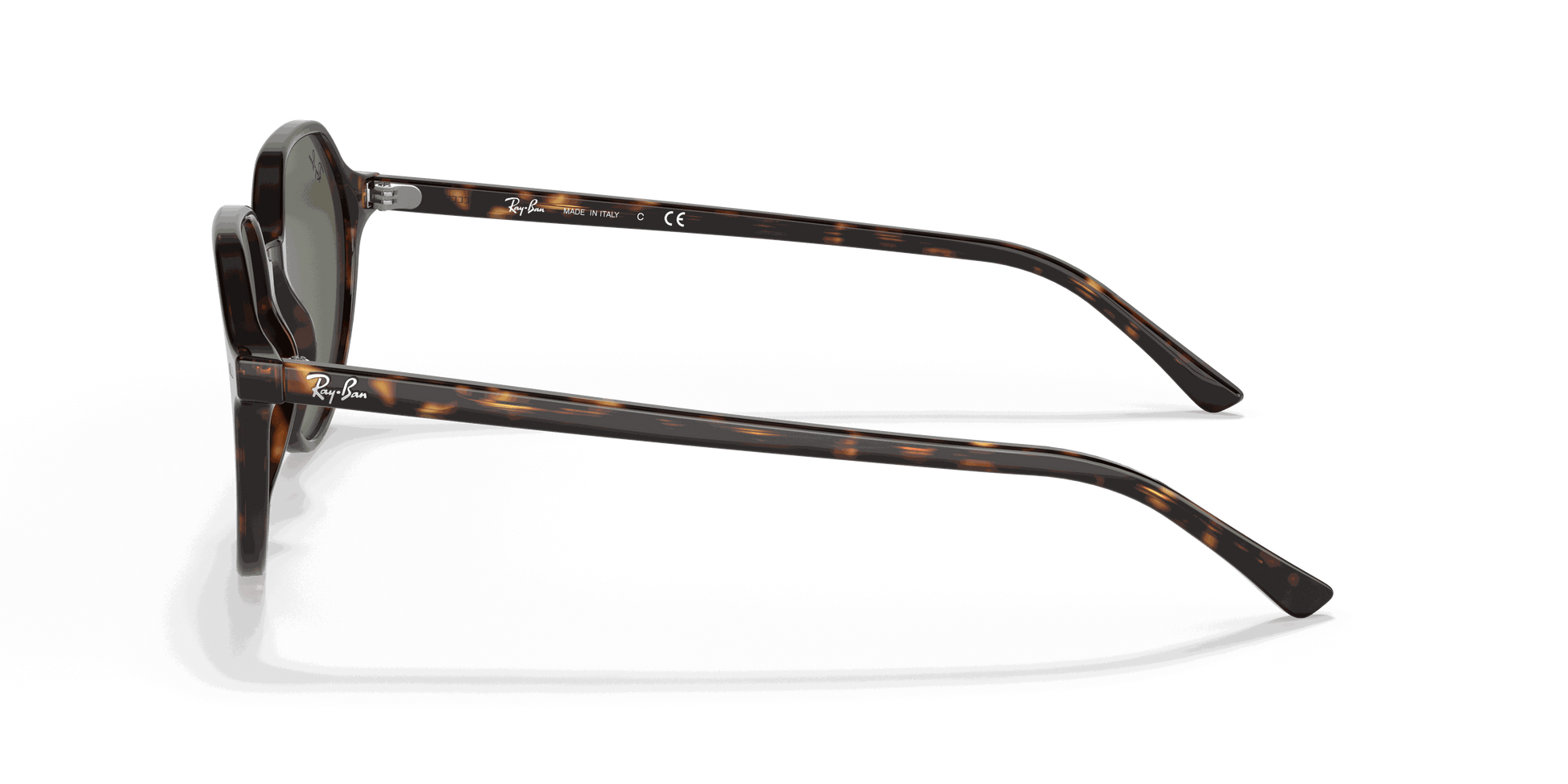 [Green Lenses, Polished Havana Frame]