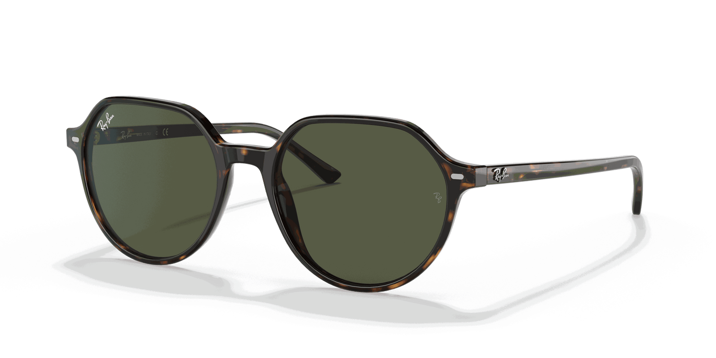 [Green Lenses, Polished Havana Frame]