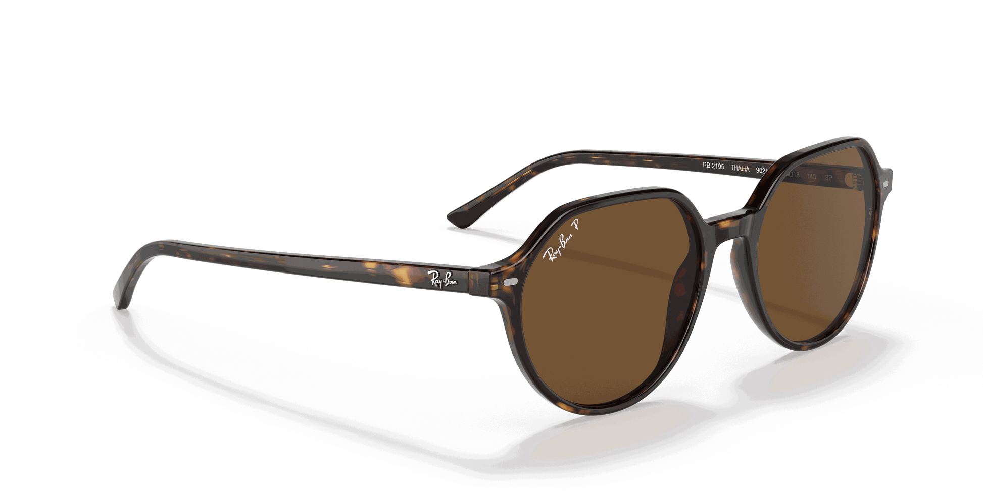 [B-15 Brown Lenses, Polished Havana Frame]