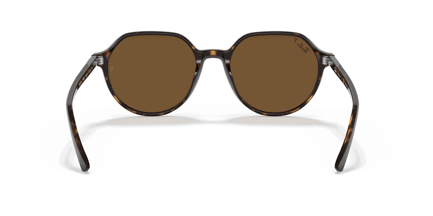 [B-15 Brown Lenses, Polished Havana Frame]