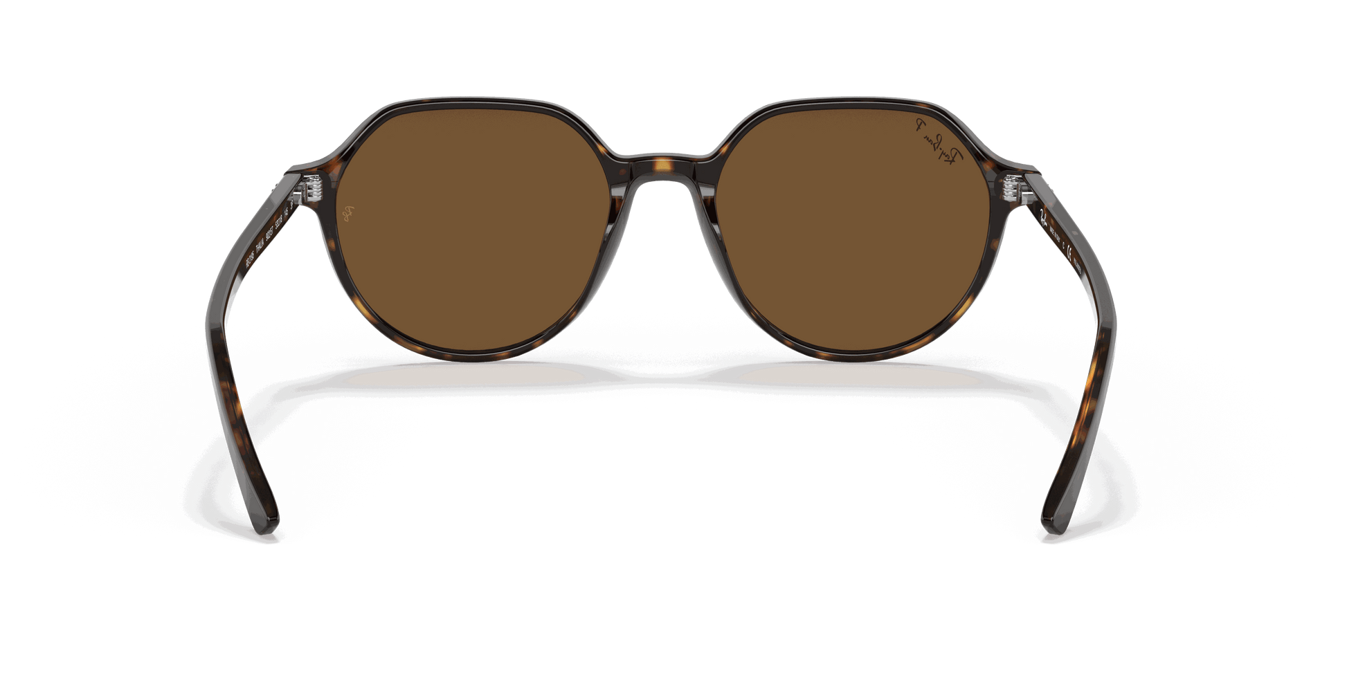[B-15 Brown Lenses, Polished Havana Frame]