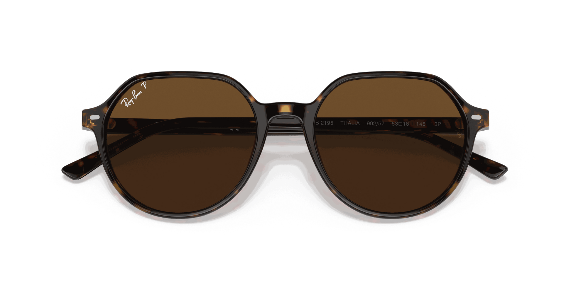 [B-15 Brown Lenses, Polished Havana Frame]
