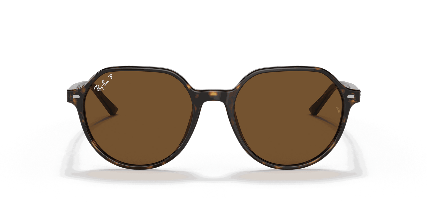 [B-15 Brown Lenses, Polished Havana Frame]