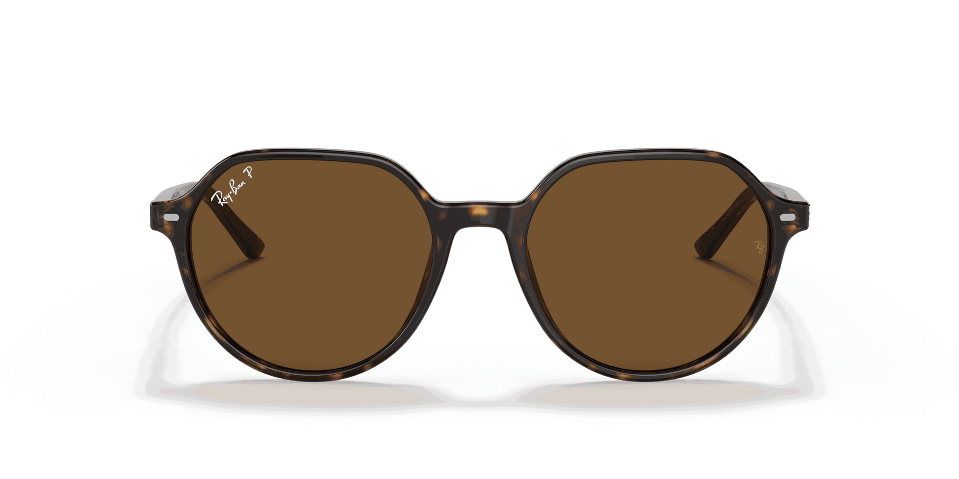 [B-15 Brown Lenses, Polished Havana Frame]