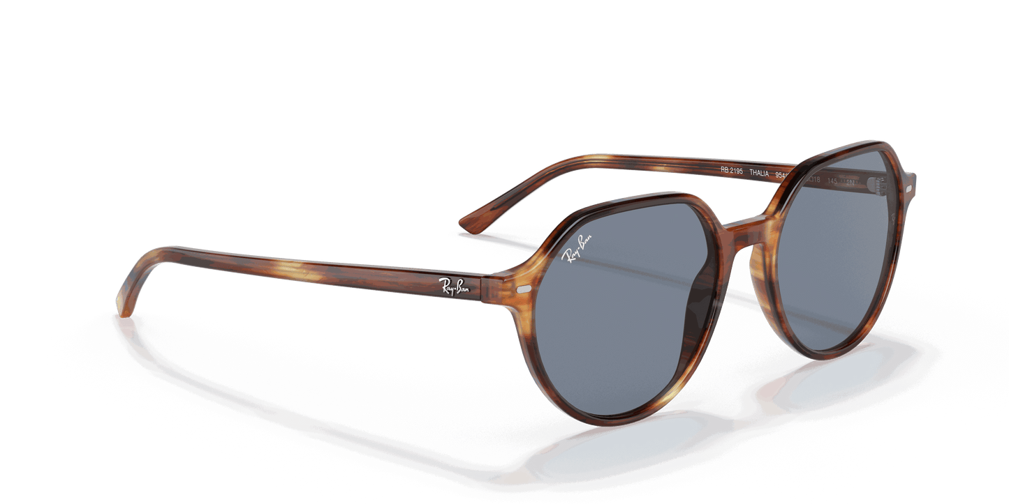 [Blue Lenses, Polished Striped Havana Frame]