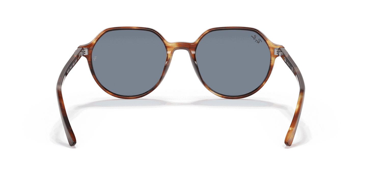 [Blue Lenses, Polished Striped Havana Frame]