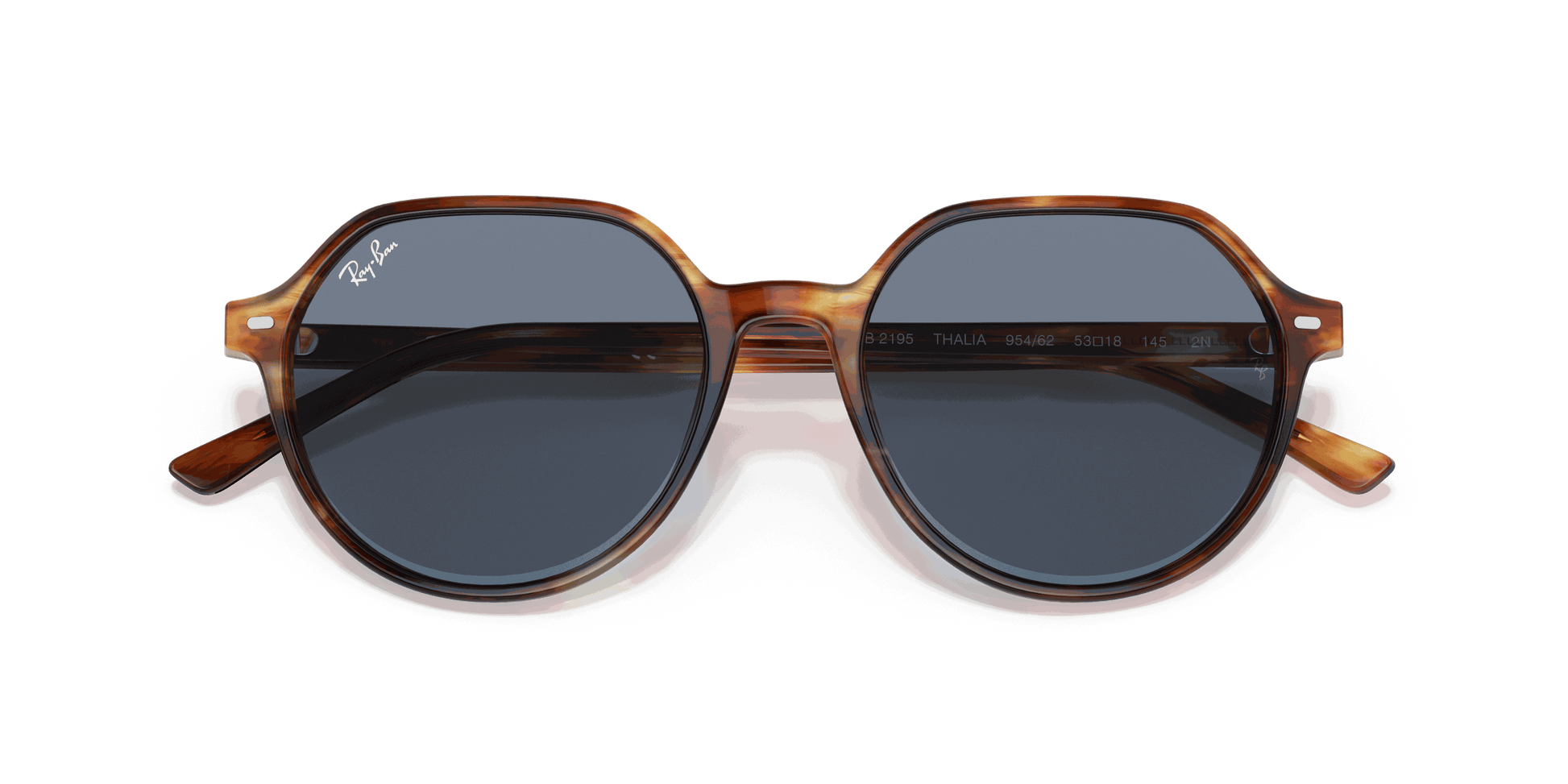 [Blue Lenses, Polished Striped Havana Frame]