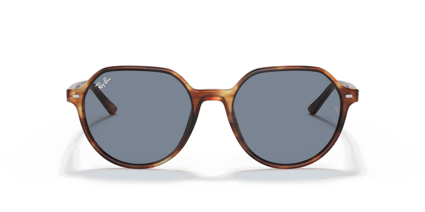 [Blue Lenses, Polished Striped Havana Frame]