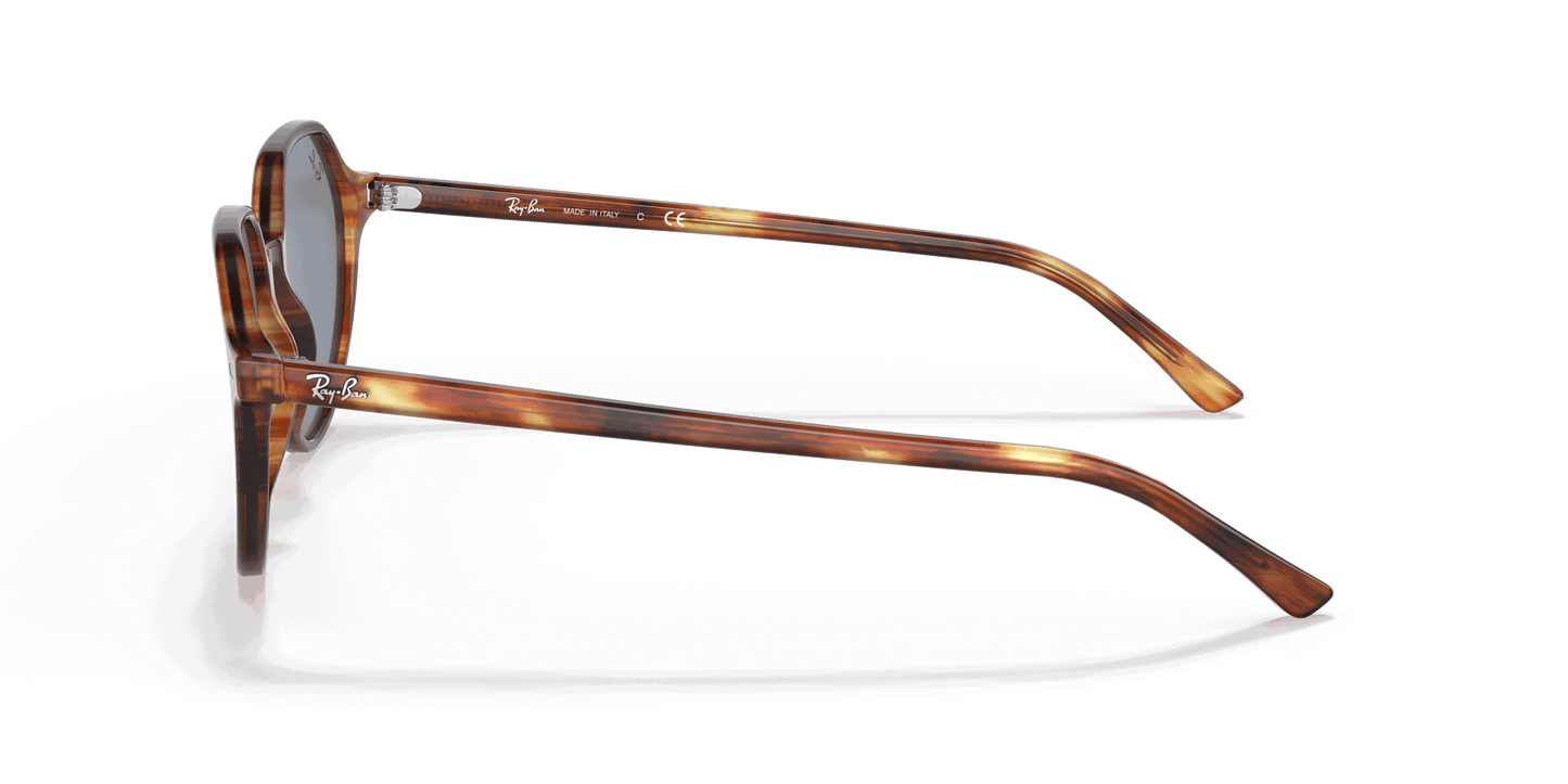 [Blue Lenses, Polished Striped Havana Frame]