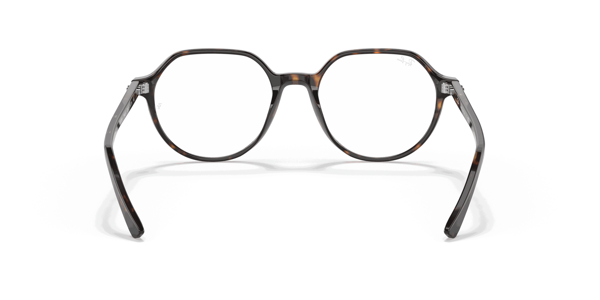 [Clear Lenses, Polished Havana Frame]