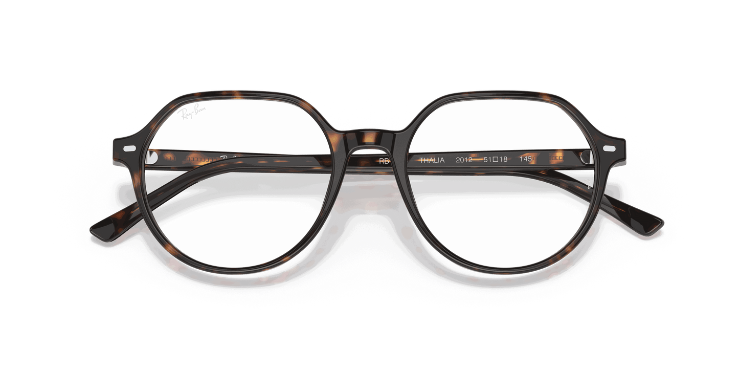 [Clear Lenses, Polished Havana Frame]