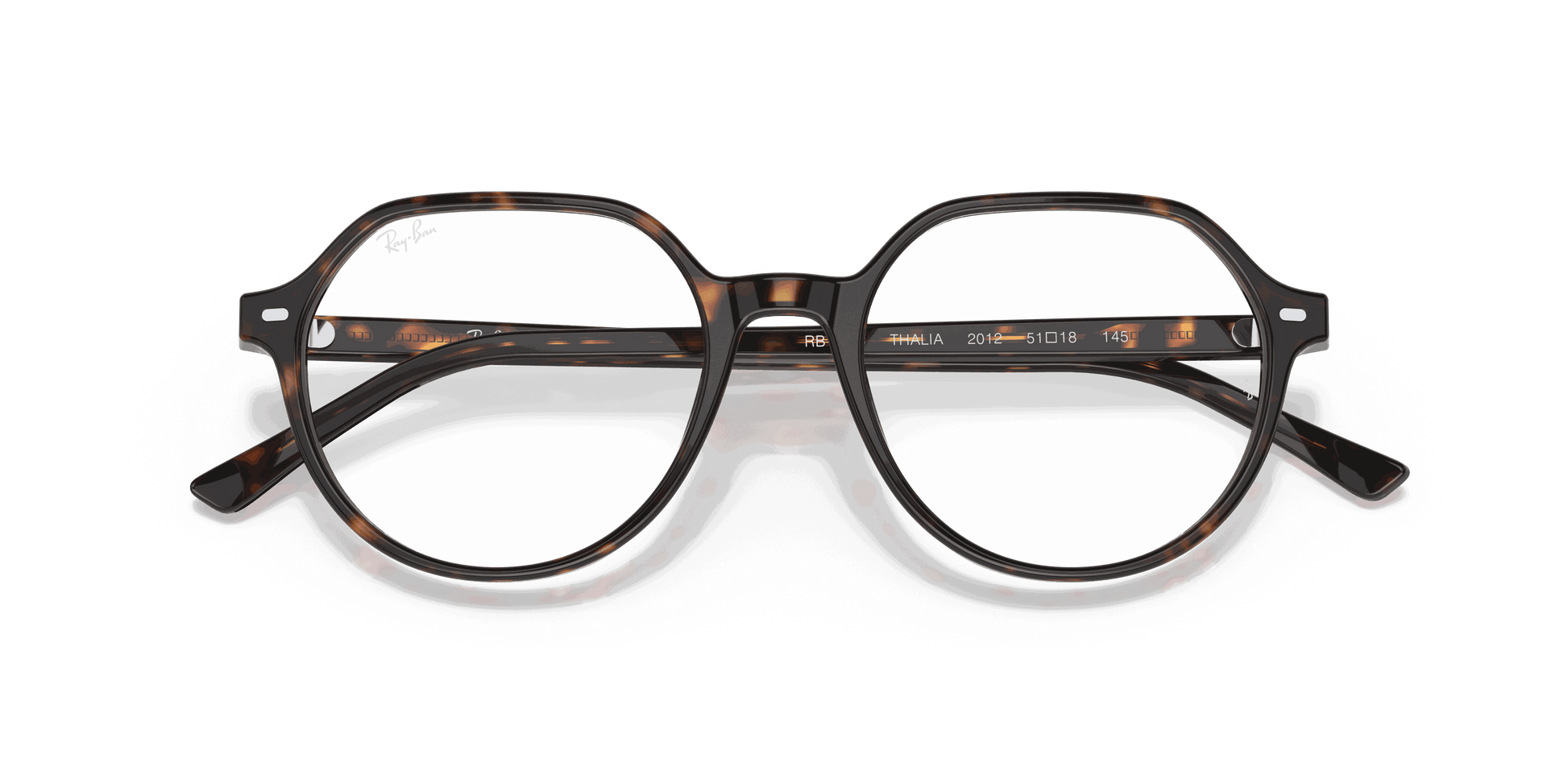 [Clear Lenses, Polished Havana Frame]