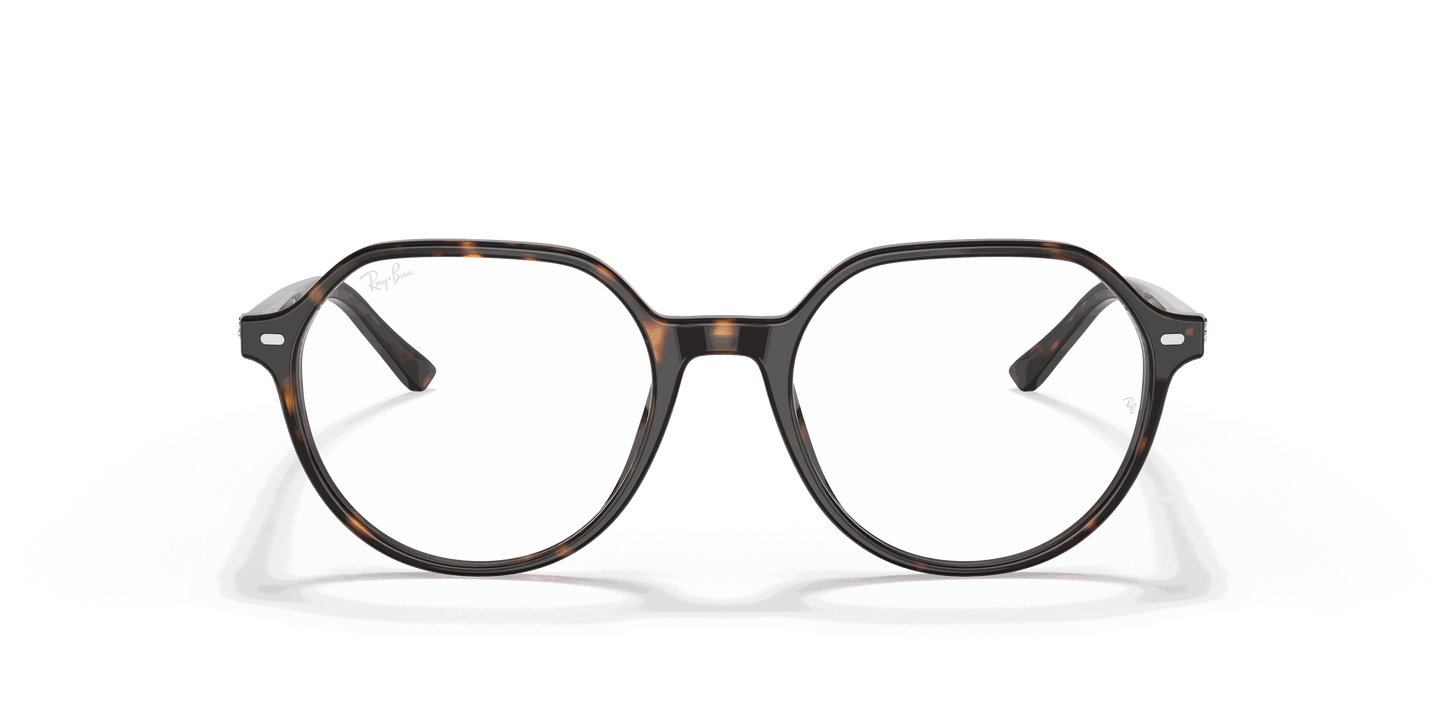 [Clear Lenses, Polished Havana Frame]