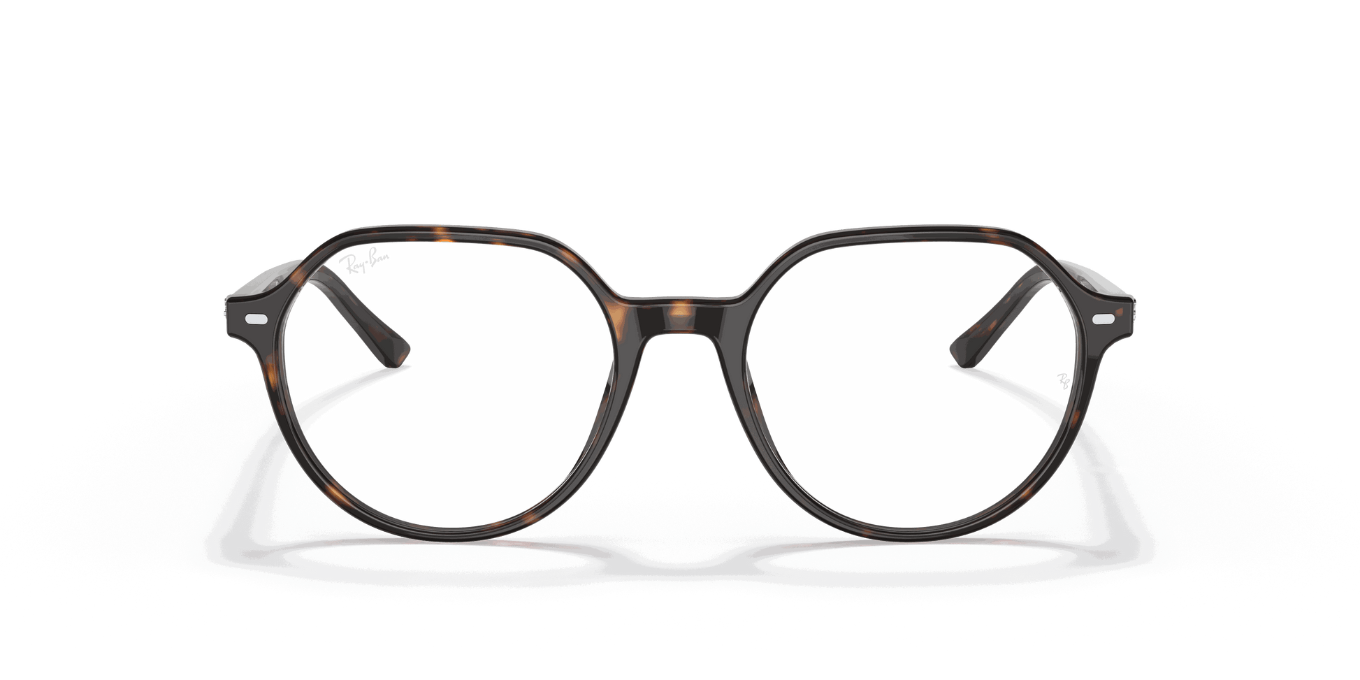 [Clear Lenses, Polished Havana Frame]