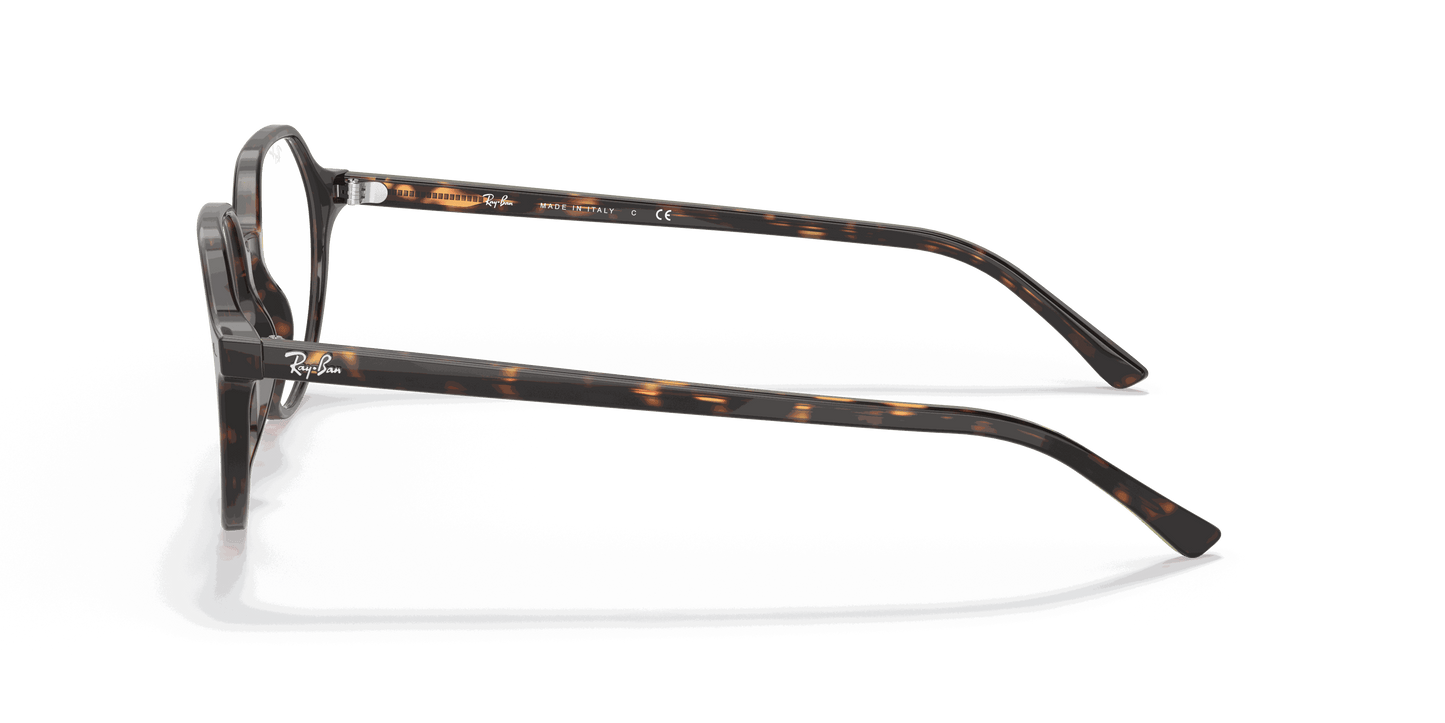 [Clear Lenses, Polished Havana Frame]