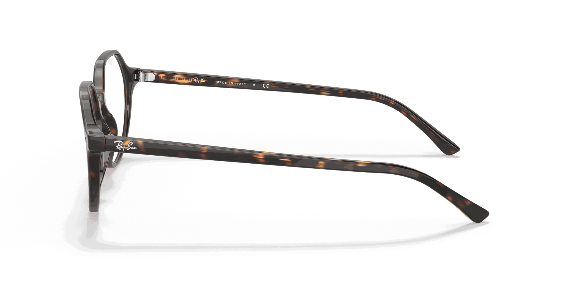 [Clear Lenses, Polished Havana Frame]