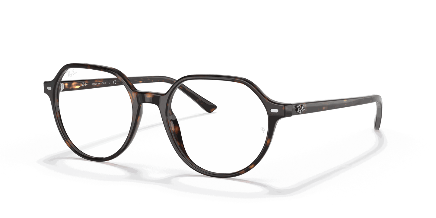 [Clear Lenses, Polished Havana Frame]