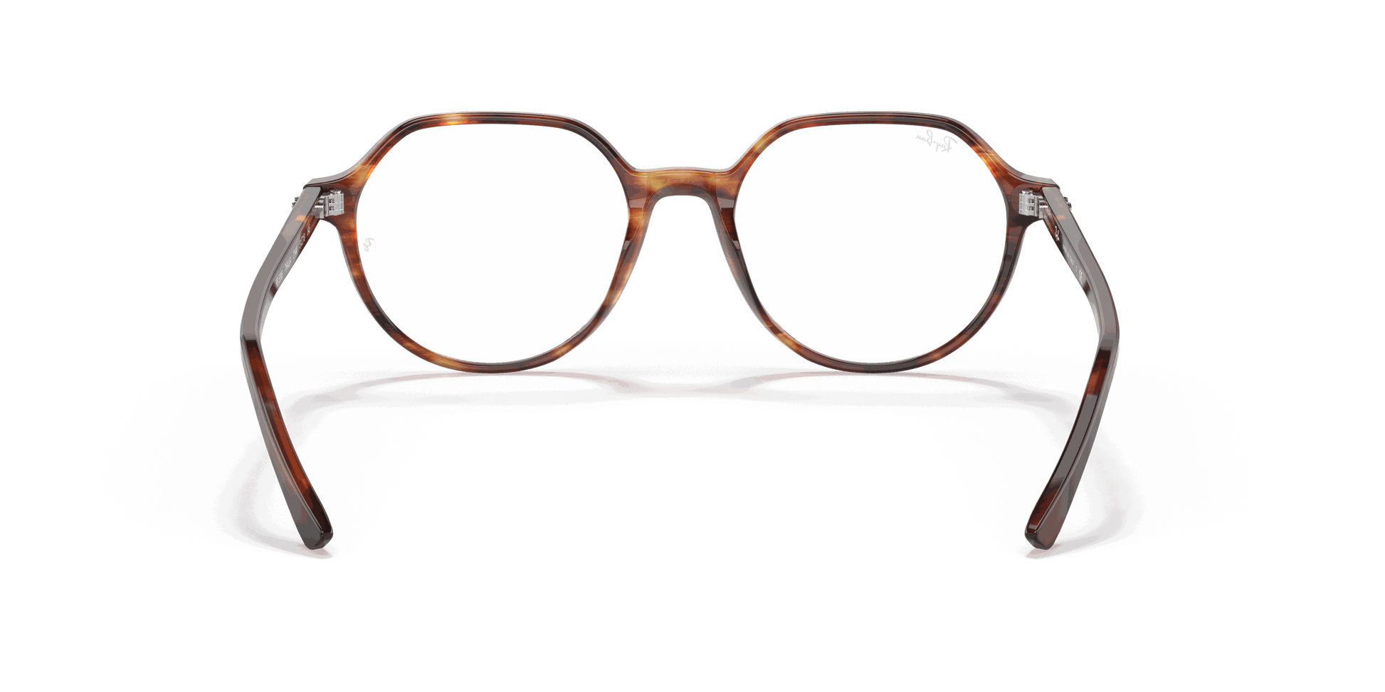 [Clear Lenses, Polished Striped Havana Frame]