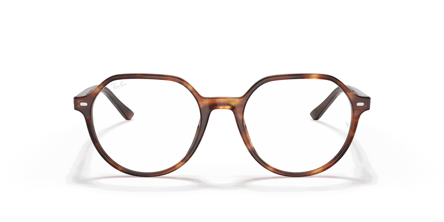 [Clear Lenses, Polished Striped Havana Frame]