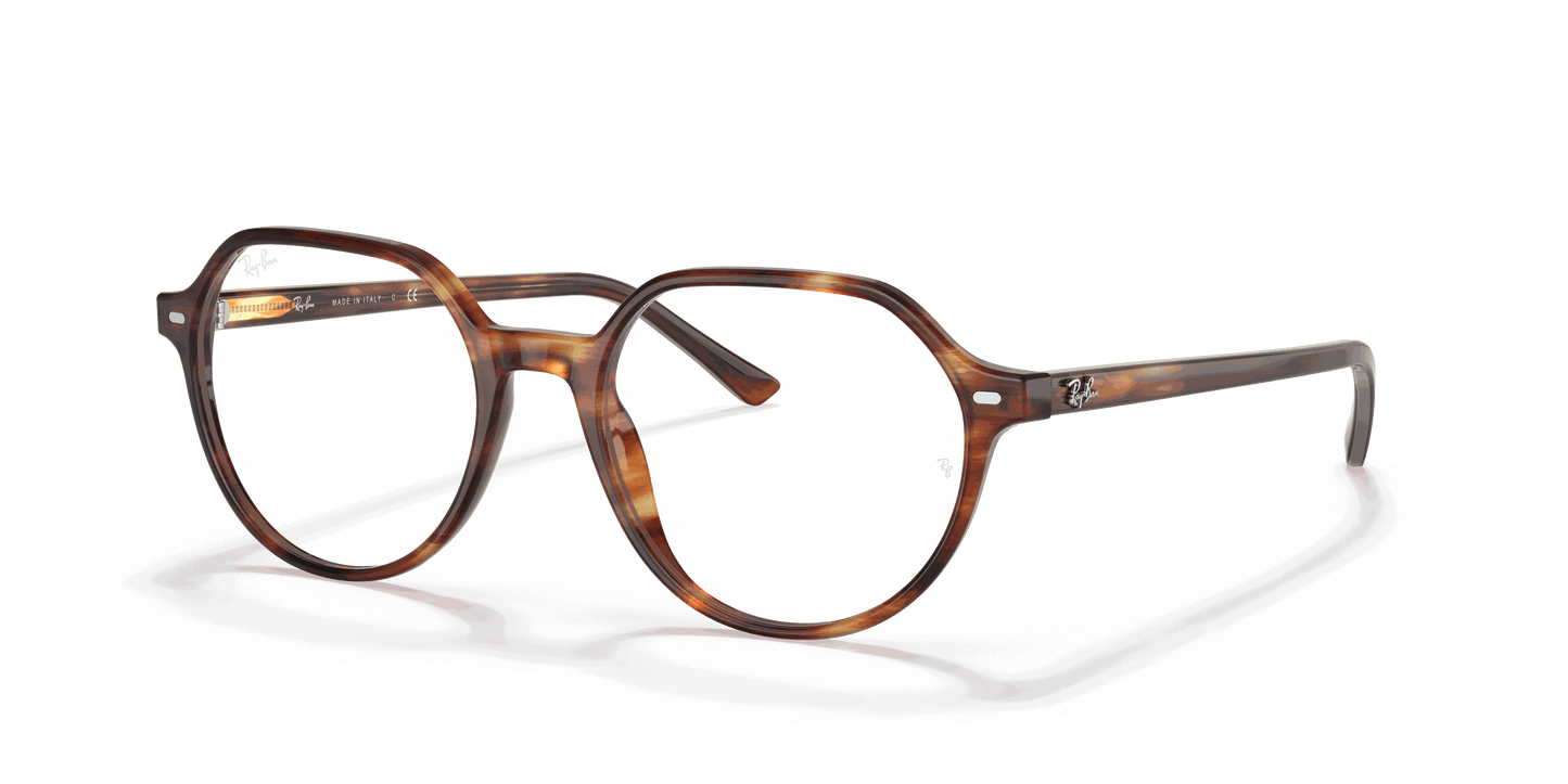 [Clear Lenses, Polished Striped Havana Frame]