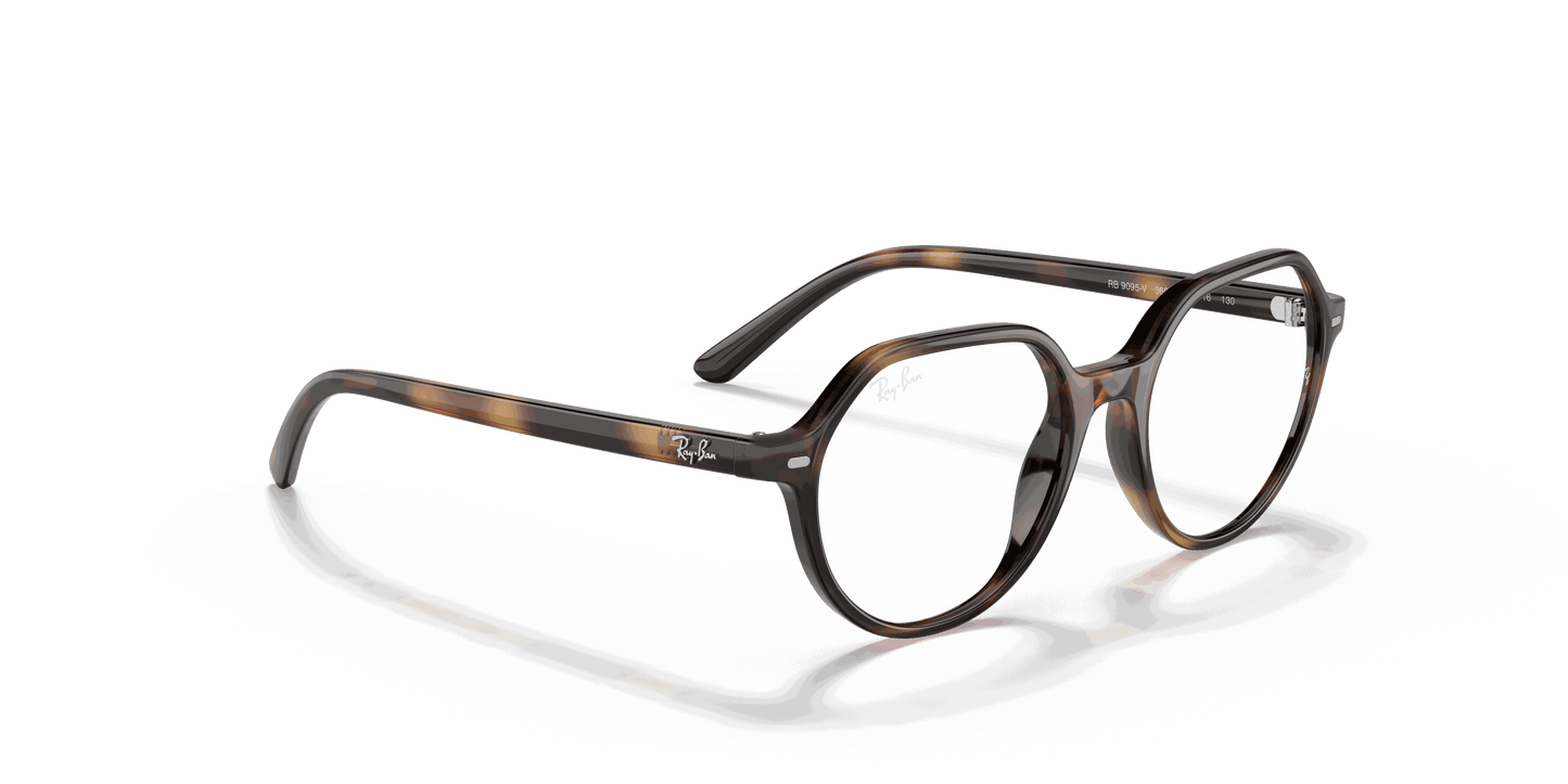 [Clear Lenses, Polished Havana Frame]