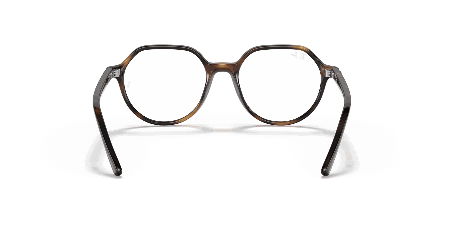 [Clear Lenses, Polished Havana Frame]