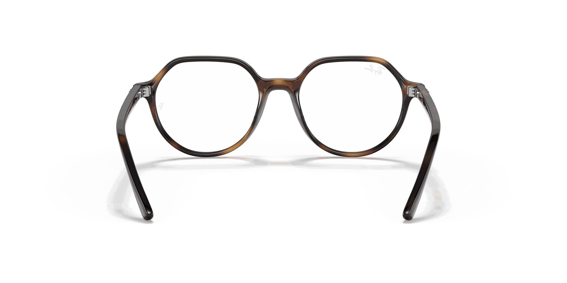 [Clear Lenses, Polished Havana Frame]