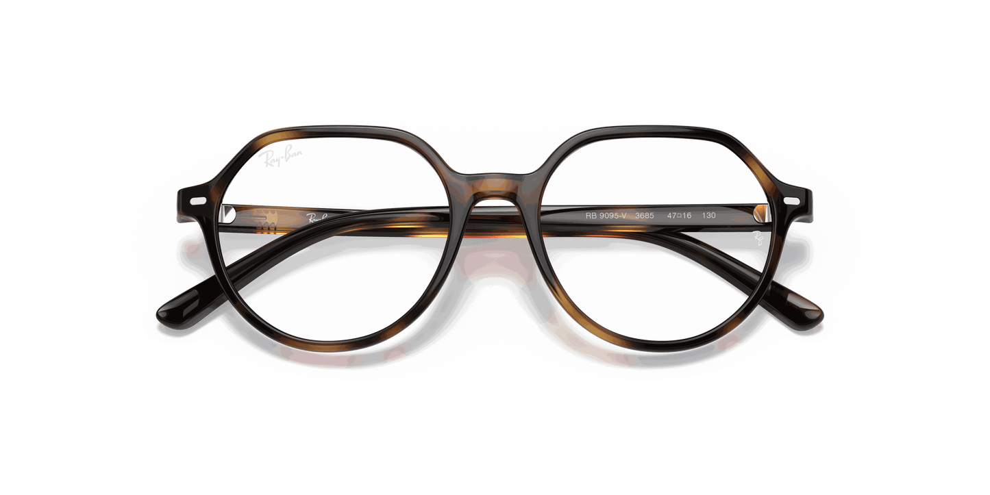 [Clear Lenses, Polished Havana Frame]