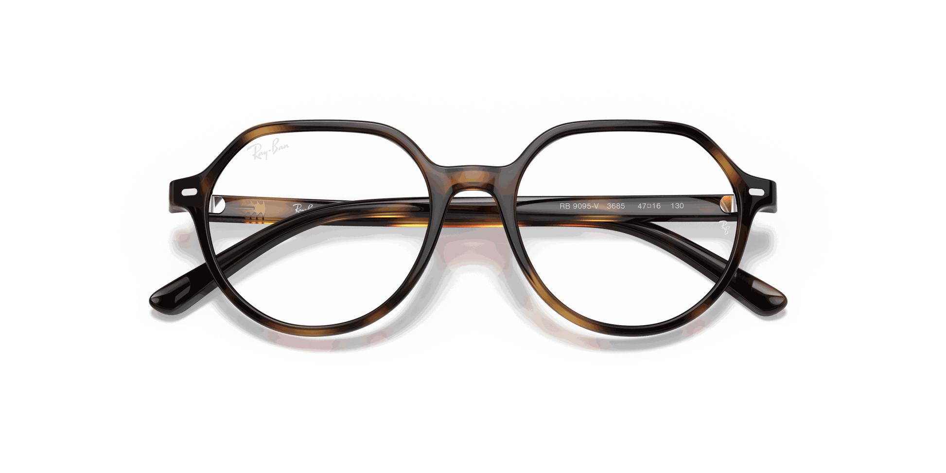 [Clear Lenses, Polished Havana Frame]