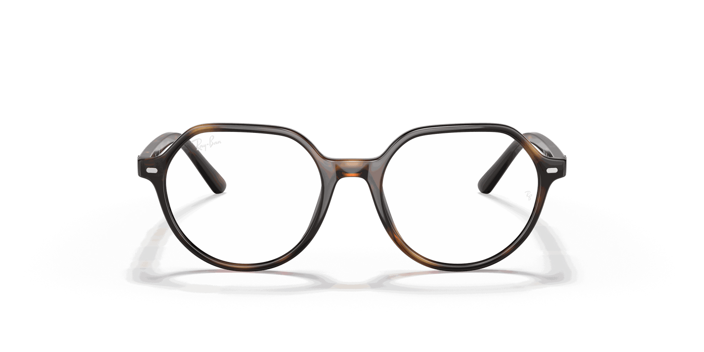 [Clear Lenses, Polished Havana Frame]