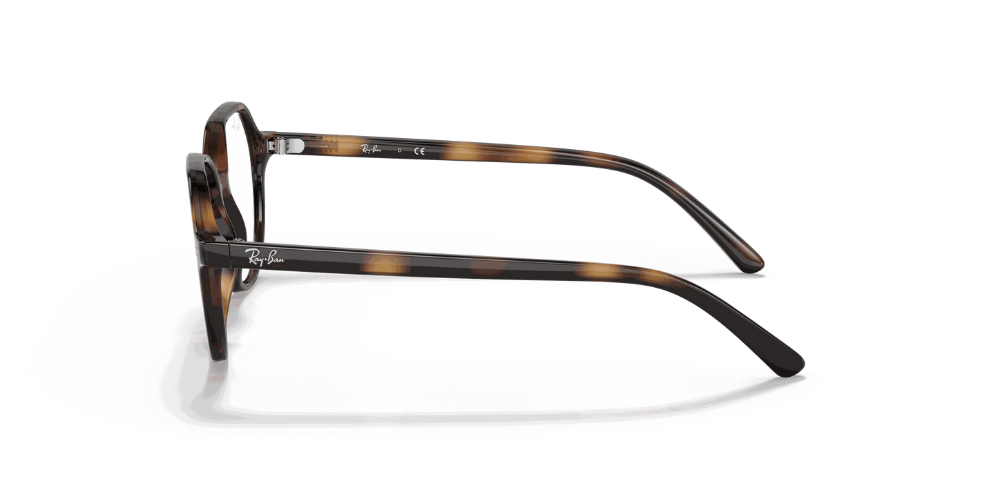 [Clear Lenses, Polished Havana Frame]