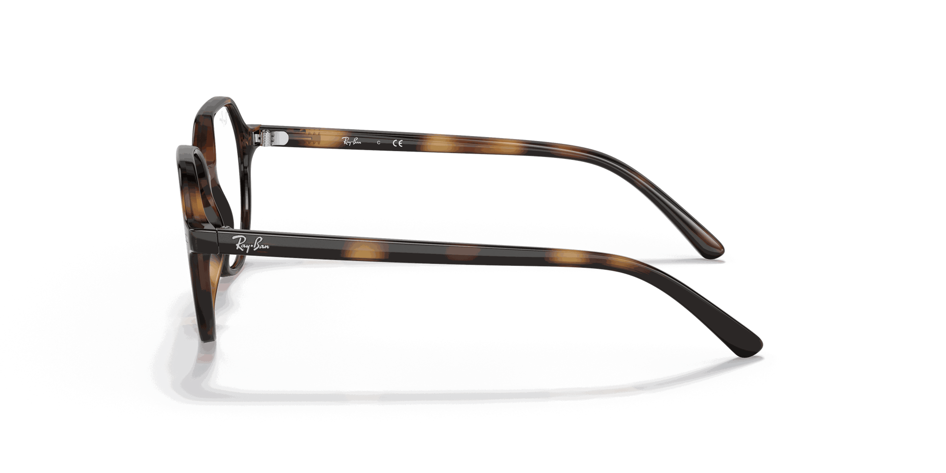 [Clear Lenses, Polished Havana Frame]