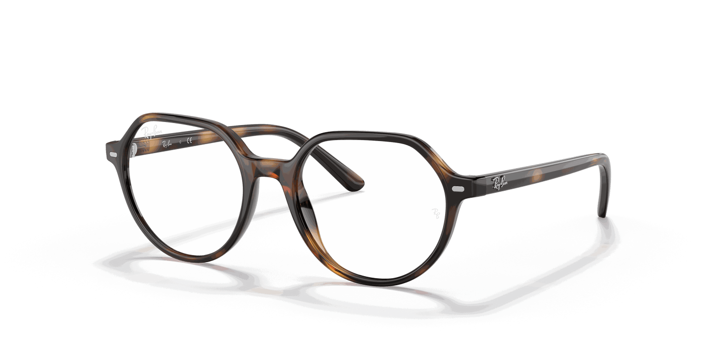 [Clear Lenses, Polished Havana Frame]