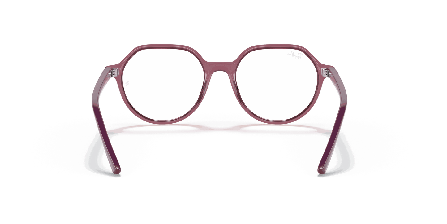 [Clear Lenses, Polished Transparent Pink Frame]