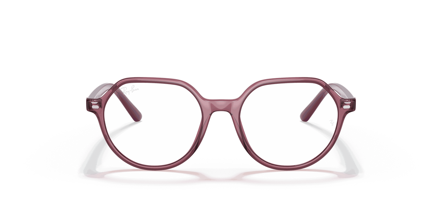 [Clear Lenses, Polished Transparent Pink Frame]