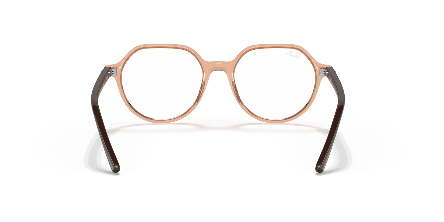 [Clear Lenses, Polished Transparent Brown Frame]