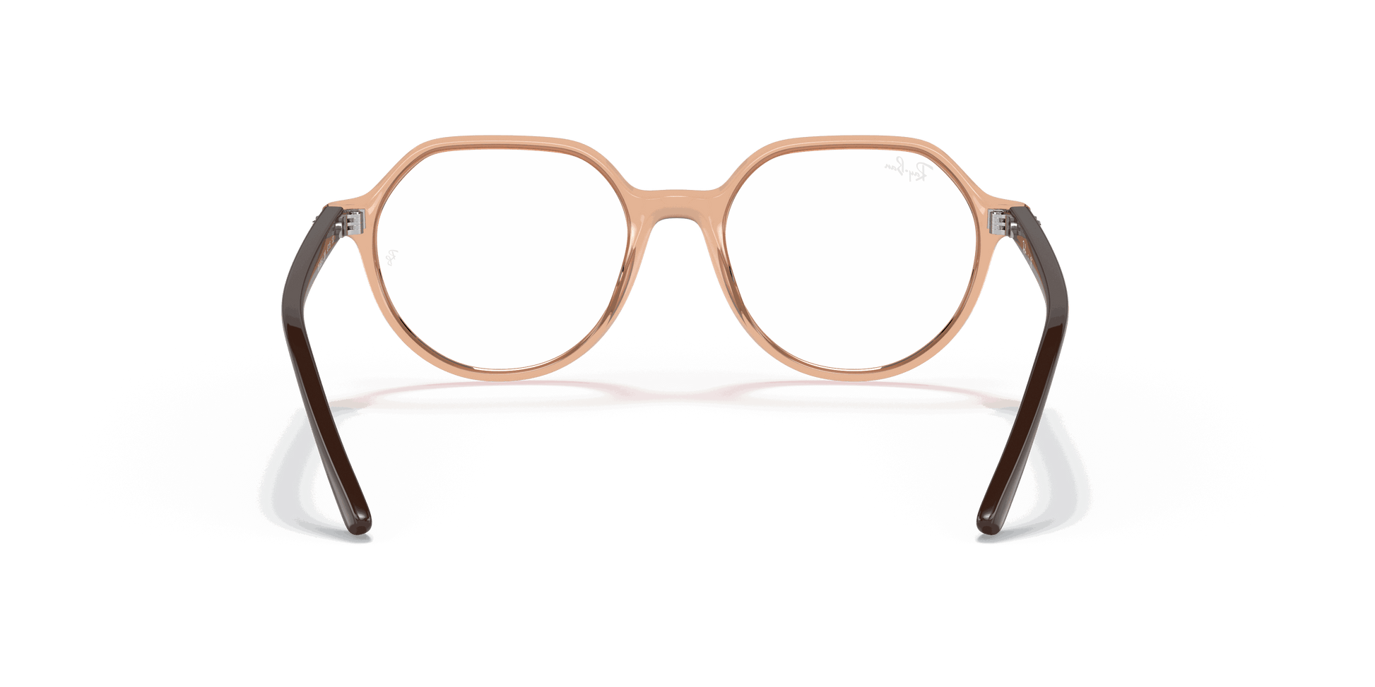 [Clear Lenses, Polished Transparent Brown Frame]