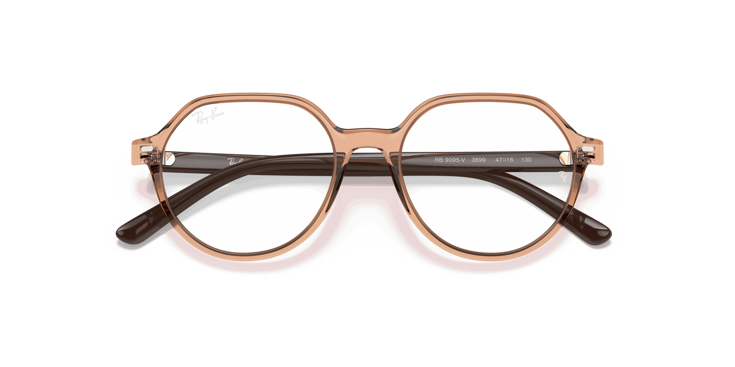 [Clear Lenses, Polished Transparent Brown Frame]