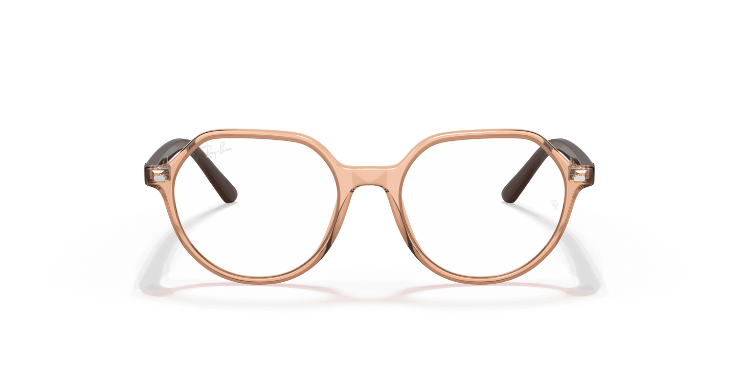 [Clear Lenses, Polished Transparent Brown Frame]